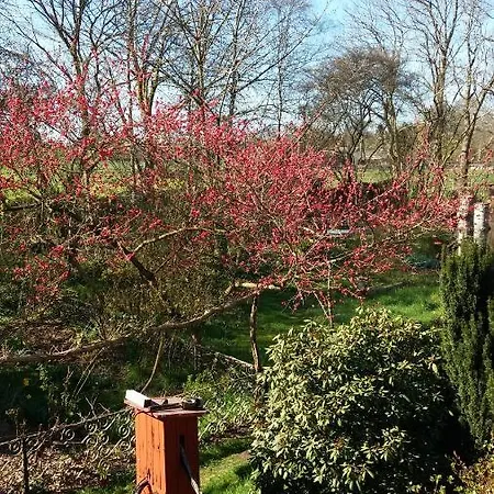 Bed & Breakfast De Geheime Tuin - Uitzicht Epe