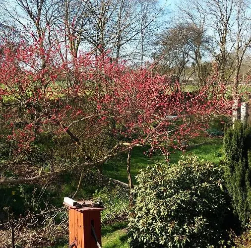 Bed & Breakfast De Geheime Tuin - Uitzicht Epe